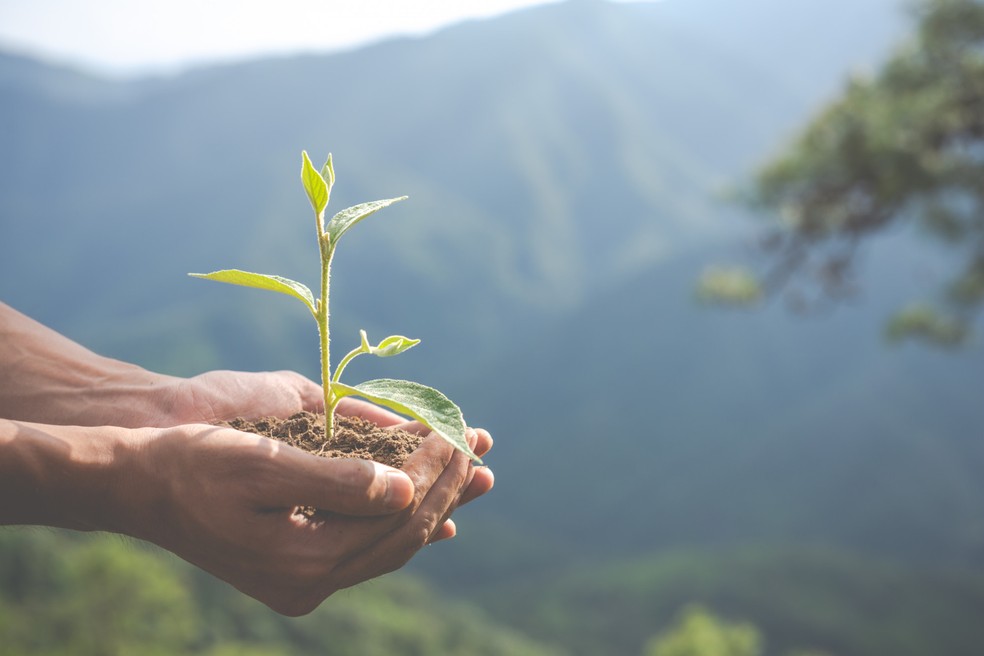 Lá Vem o Enem: resolva questões de biologia sobre ecologia — Foto: Reprodução / Freepik