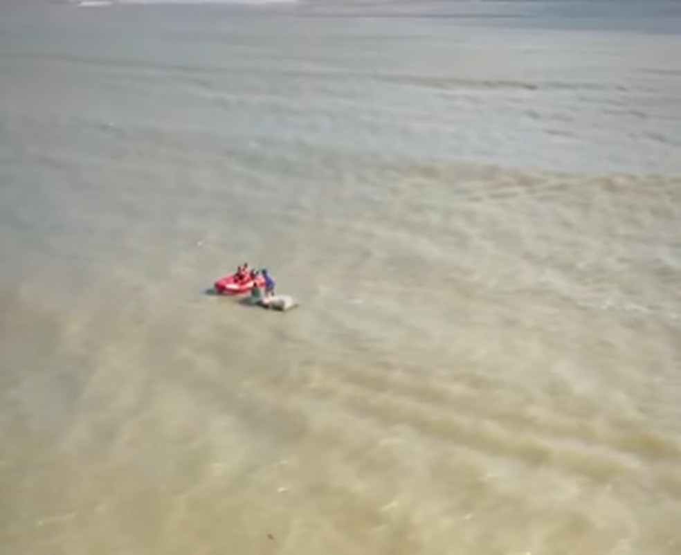 Dois pescadores estavam em barco à deriva resgatado em João Pessoa — Foto: Divulgação/Corpo de Bombeiros