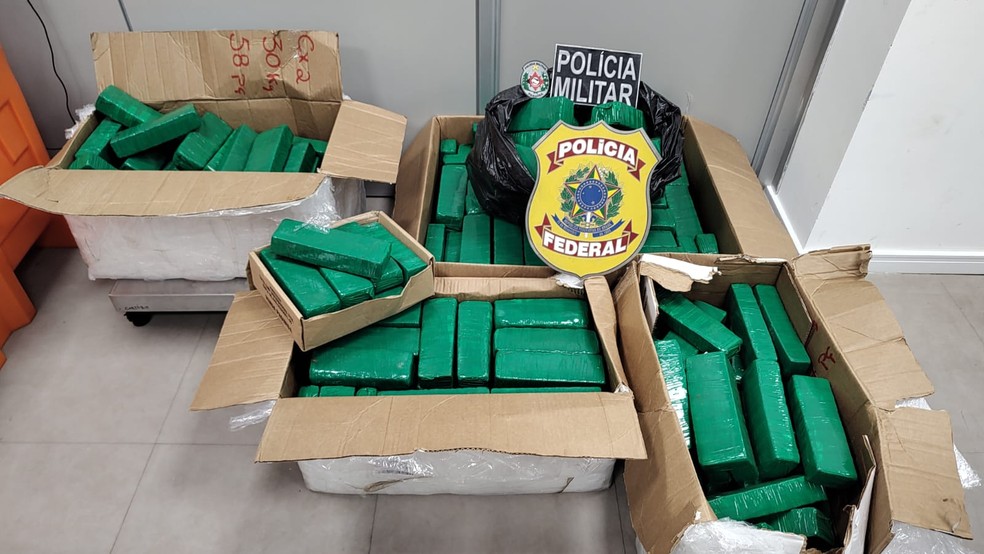 Foram apreendidos 160 kg de maconha em uma casa do bairro de Mandacaru, em João Pessoa — Foto: Polícia Federal/Divulgação
