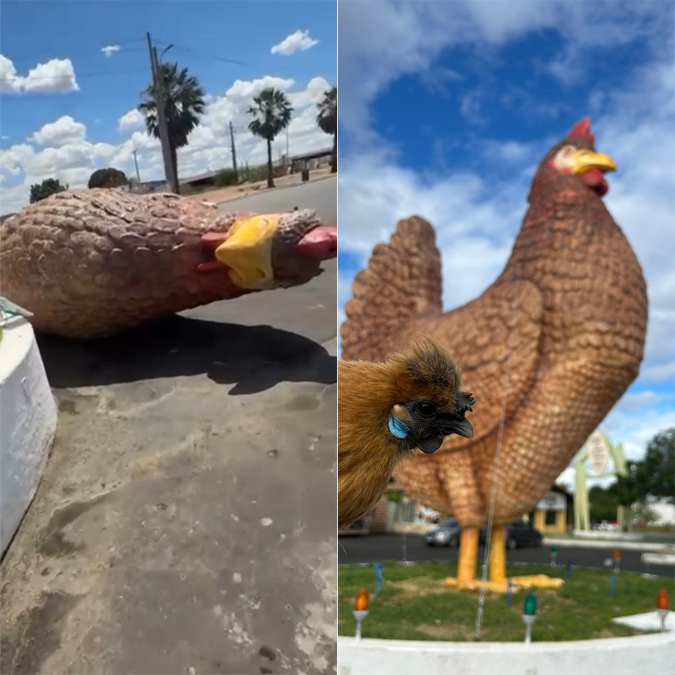 Galinha gigante caiu após ventania em Assú — Foto: Foto 1: Thalis Lucena | Foto 2: Lucas Cortez/Inter TV Cabugi