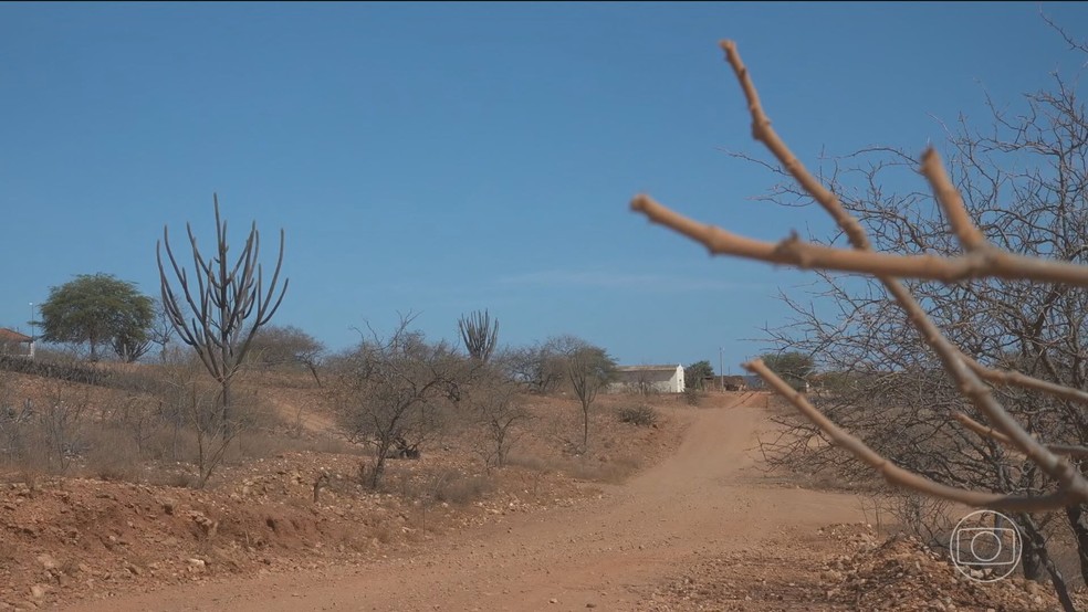 Seca extrema no Sertão de Pernambuco já afeta mais de 1,5 milhão de pessoas — Foto: Reprodução/TV Globo