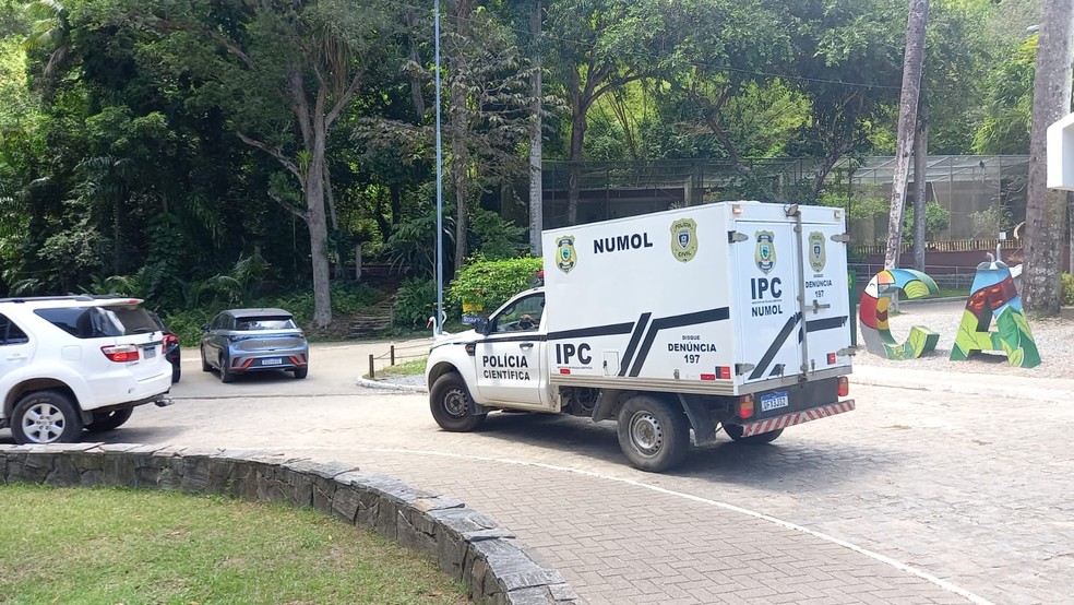 Homem é morto por leoa após invadir jaula em zoológico de João Pessoa — Foto: Silvia Torres/TV Cabo Branco