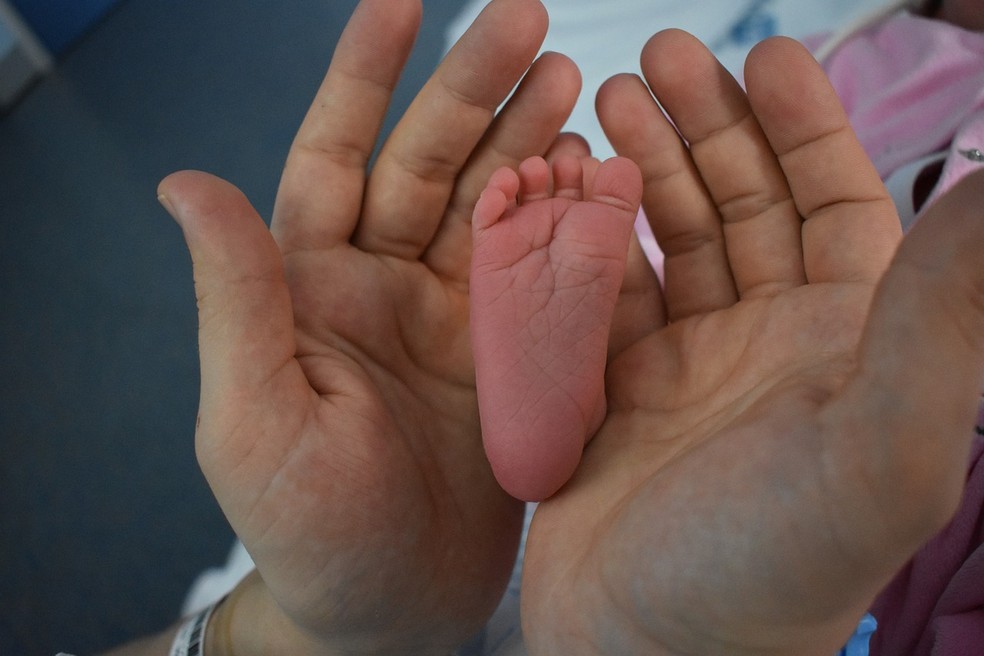 Maria Helena foi o nome mais registrado na Paraíba em 2025 — Foto: Pixabay/ioan194