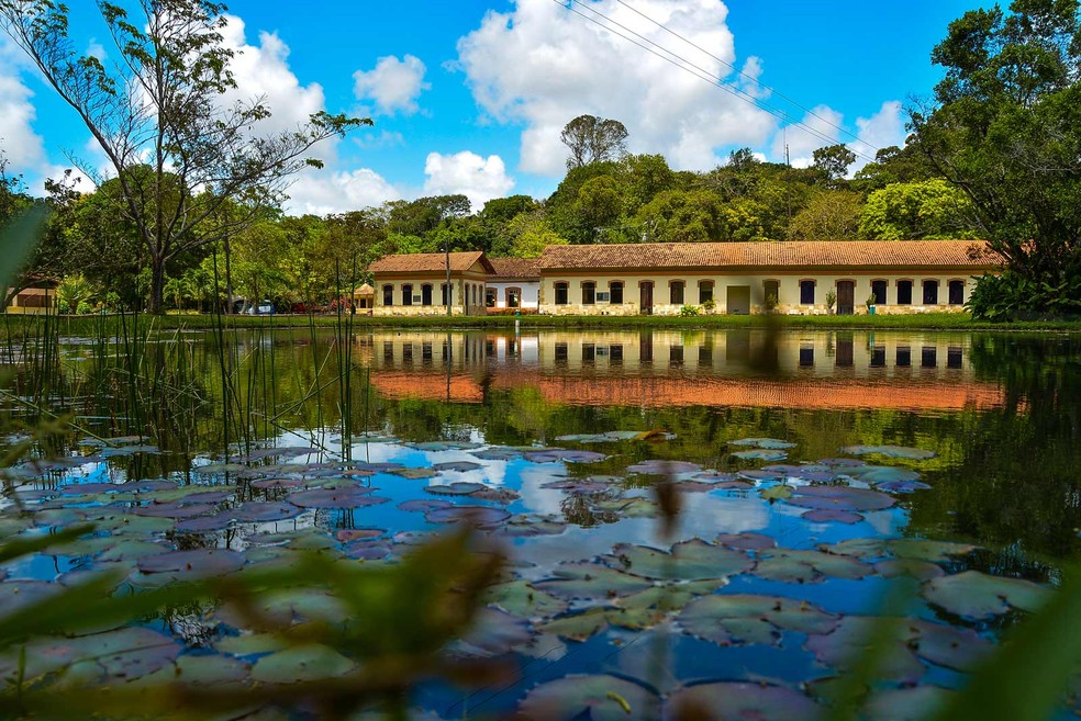 Jardim Botânico Benjamin Maranhão, em João Pessoa — Foto: Divulgação/PMJP