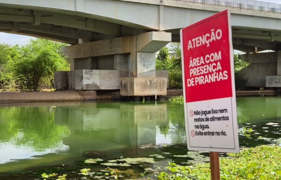 Placa instalada pela prefeitura de Assu alerta para presença de piranhas — Foto: Prefeitura de Assu/Divulgação
