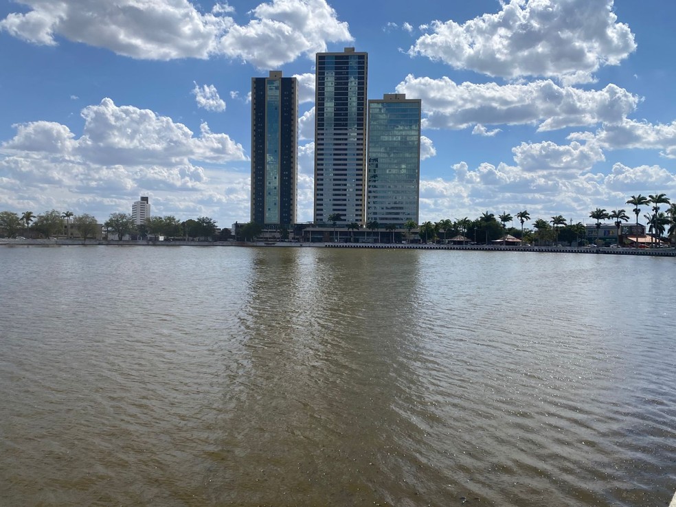 Mais de 5 toneladas de peixes mortos já foram retiradas do Açude Velho, em Campina Grande — Foto: Artur Lira/TV Paraíba