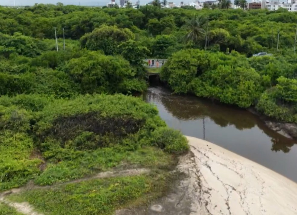 Material é coletado de água escura e com mau cheiro em trecho de praia entre João Pessoa e Cabedelo, na Paraíba — Foto: TV Cabo Branco