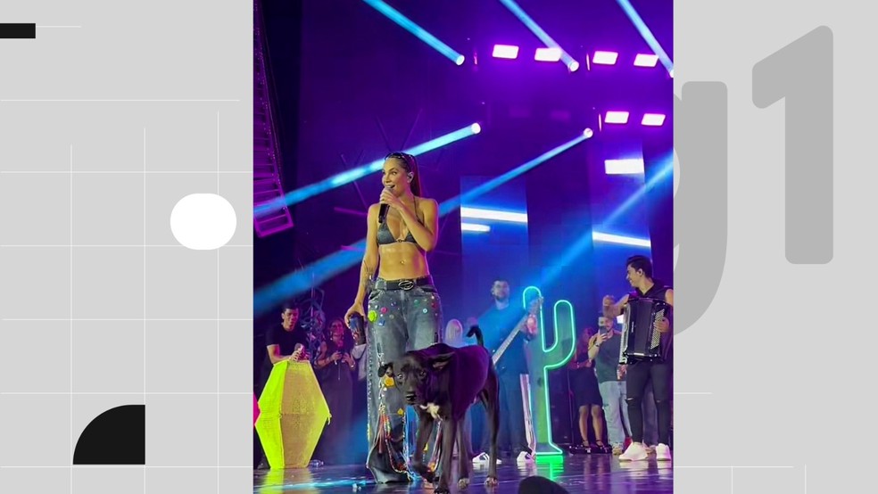 Cachorro em situação de rua invade palco de cantora em gravação de DVD e é adotado por cantora, no Sertão da PB — Foto: Reprodução/Michele Andrade