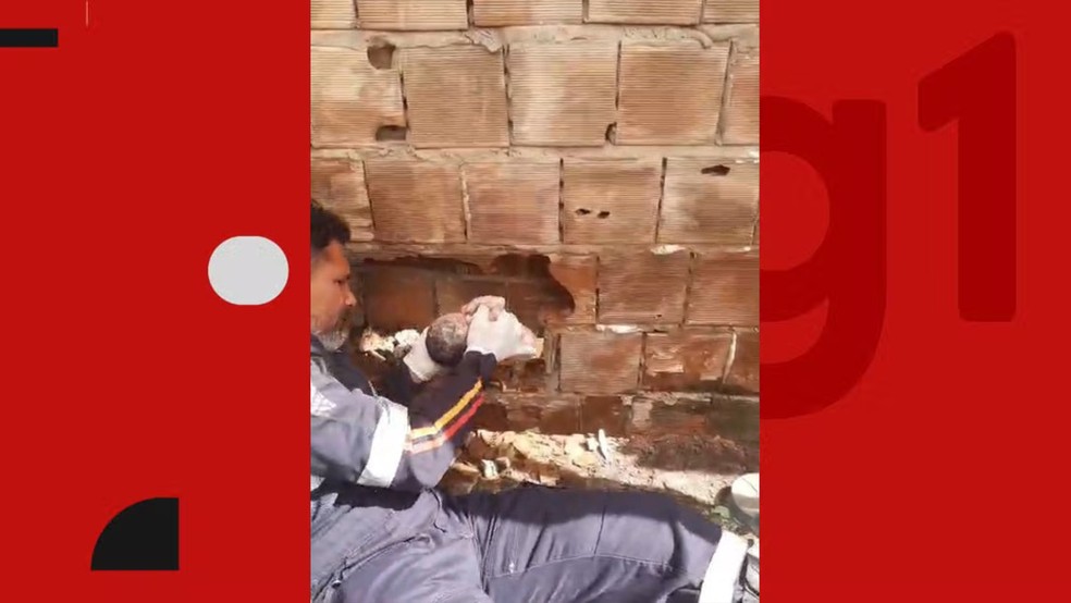 Bebê é retirado de parede após ser abandonado no Litoral da Paraíba — Foto: Reprodução