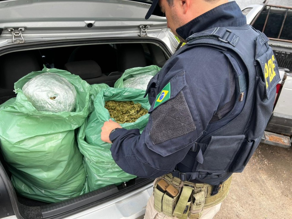 Duas pessoas são presas suspeitas de transportar 25 kg de skunk em carro na BR-230, na Paraíba — Foto: Reprodução / PRF