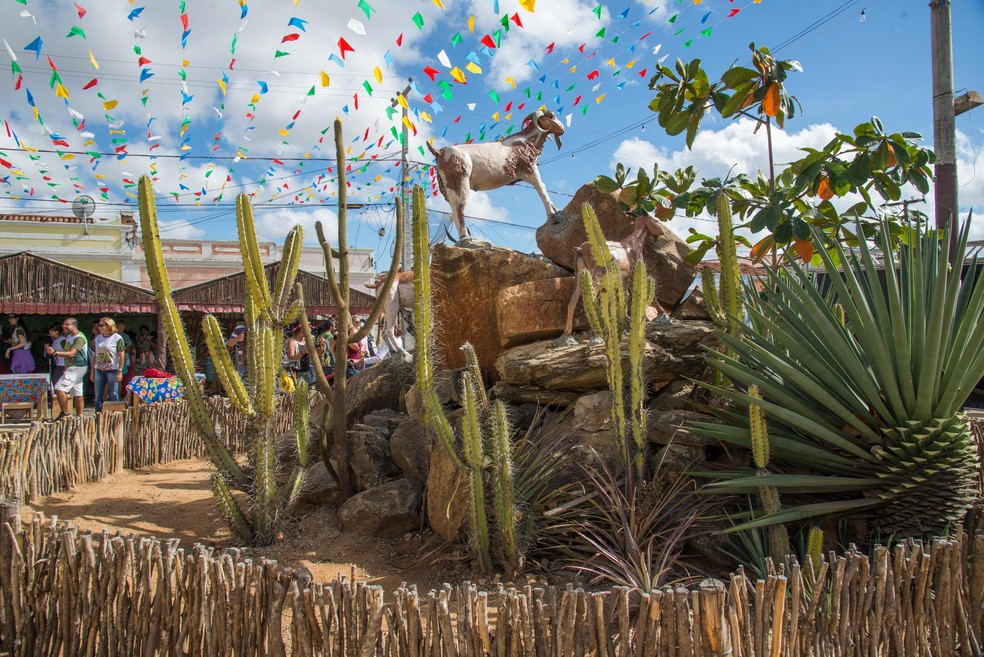Festa do Bode Rei que acontece em Cabaceiras-PB. — Foto: Divulgação