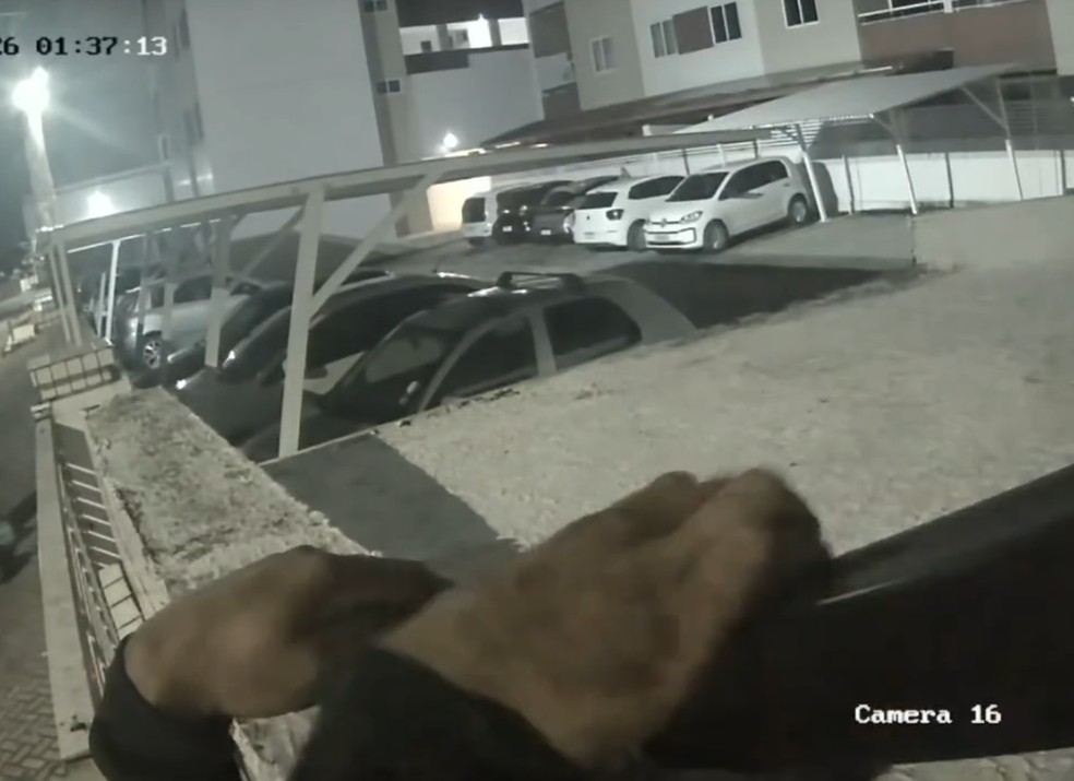 Homem é preso por tentar invadir condomínio em João Pessoa; VÍDEO — Foto: Guarda Civil Municipal de João Pessoa