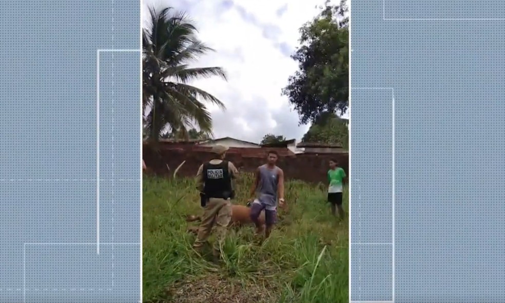 Coronel da PM investigado por atirar em animais no Conde — Foto: Reprodução TV Cabo Branco.