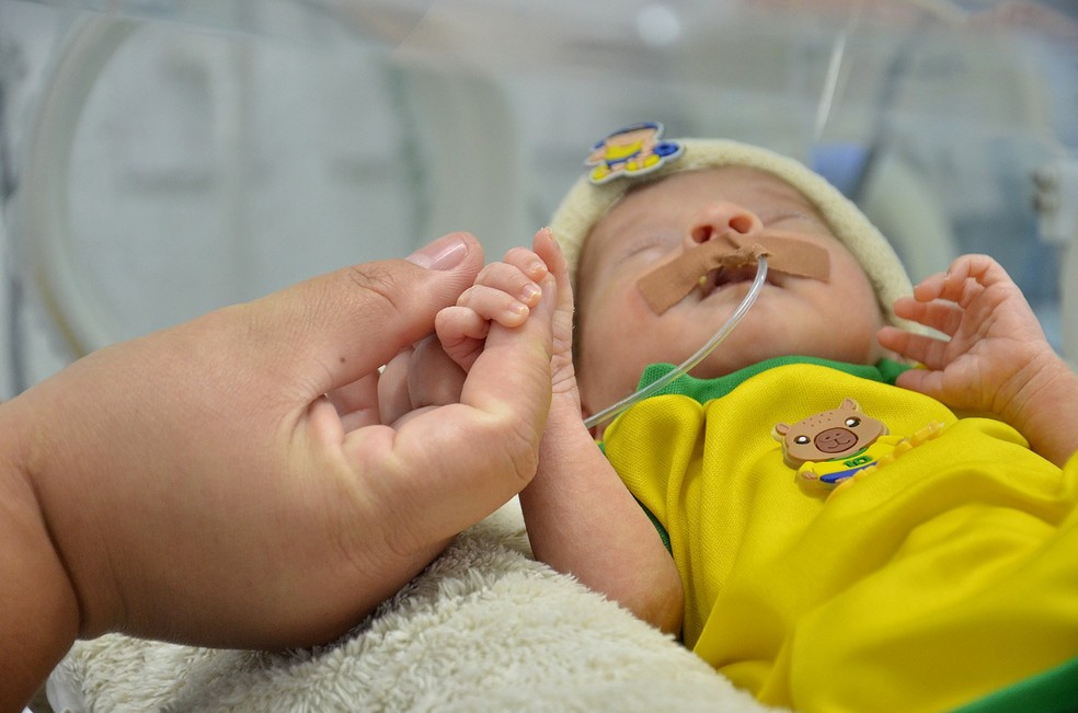 Bebês são vestidos com cores do Brasil para a Copa do Mundo em Campina Grande — Foto: Reprodução Prefeitura de Campina Grande.