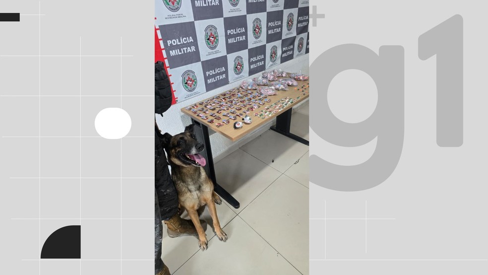 Polícia apreende drogas durante ação com cão farejador em comunidade em João Pessoa — Foto: Reprodução/Polícia Militar