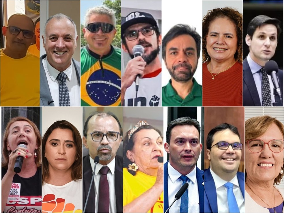 Candidatos ao Senado pelo RN: patrimônios declarados vão de R$ 15 mil a R$ 2,75 milhões — Foto: Reprodução