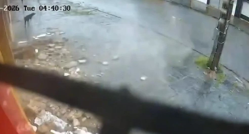 Marquise cede e atinge cachorros, em Campina Grande — Foto: Reprodução/Redes sociais