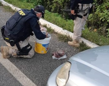 Polícia Federal apreendeu em flagrante Mocós abatidos pelo homem de 48 anos.
