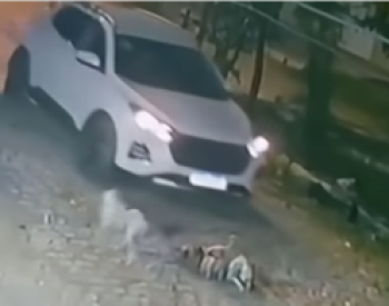 atropelamento-330x196