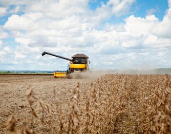 S11  ARQUIVO  31/01/2014  ECONOMIA  Apesar de estiagem no mês de dezembro, que prejudicou muitos produtores, safra de soja deverá bater novo recorde este ano no País, alcançando 91,6 milhões de toneladas  Crédito: Eduardo Monteiro/Divulgação