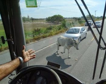 Seridó Notícias.