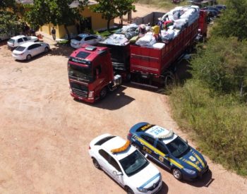 20200715-Cervejas-3-e1595020511708-800x445