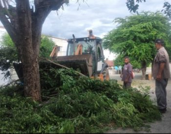Limpeza de mato no centro e nos bairros de Jardim do Seridó. Foto: (Divulgação).