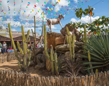 Festa do Bode Rei que acontece em Cabaceiras-PB. — Foto: Divulgação