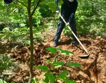 24924430-304c-41e2-b0d2-6ce28283c548