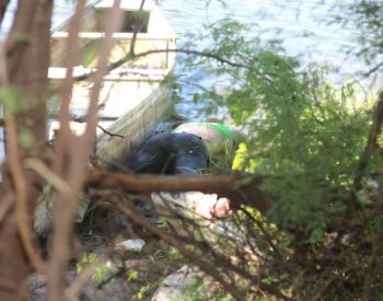 4f3fcc02-2e5c-404d-aaa9-1217b8e740cd