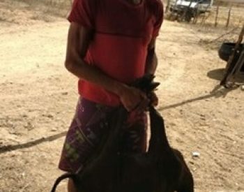 Acusado Jeferson Diniz Andrade, 21 anos de idade, natural de Patu.