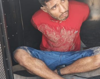 51801fba-6288-49ee-a2e2-d32171f2b800