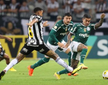 52391992663_060336856f_o-696x392