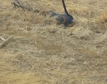 91fe6248-dab8-47fd-9859-58cead938c64-768x1024