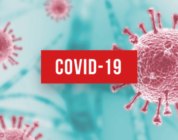 Caso aconteceu no município de São Gonçalo do Amarante e foi confirmado pela prefeitura — Foto: Reprodução