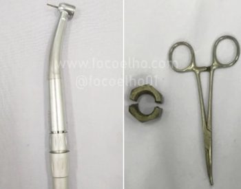 Porca usada na masturbação.