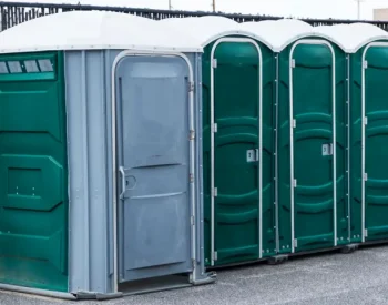 O caso inusitado aconteceu no litoral paulista. Foto — Divulgação.