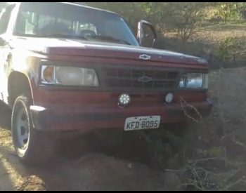 Veículo apreendido pela polícia com as cabras na parte de trás do carro. ( Foto: Polícia Militar )