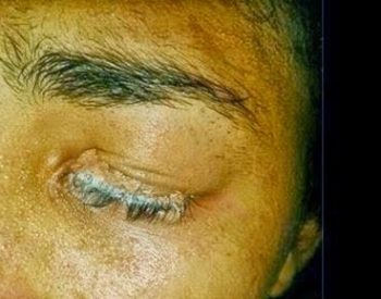 ScreenHunter_2087-Jun.-09-18.15