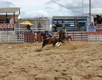 Vaquejada-de-Santana-do-Matos-deve-conceder-meia-entrada-a-estudantes-768x576