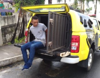 WhatsApp Image 2018-12-10 at 11.26.39