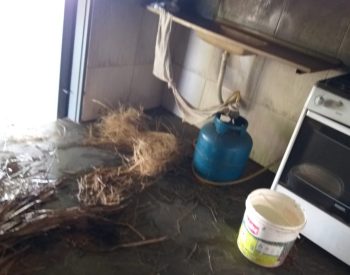 Chácara de Alcides Petrópolis totalmente destruída por elementos hoje pela manhã em Jardim do Seridó. ( Foto: Via / Alcides Petrópolis )