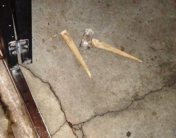 Jhonatan Demer Lima, de 25 anos, foi agredido após desfazer a venda de um filhote de cachorro com o agressor. Ele sofreu ferimentos na cabeça e teve a perna quebrada durante o conflito. ( Foto: Reprodução/Redes Sociais )