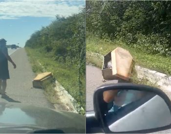 Caixão foi encontrado na BR-304 no Rio Grande do Norte — Foto: Reprodução