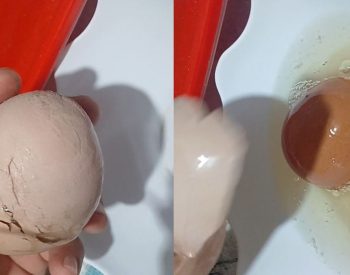 Vídeo de ovo com outro ovo dentro chama atenção no RN — Foto: Reprodução