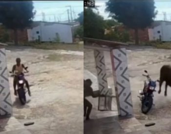 Mulher escapa de ataque de boi no interior do RN — Foto: Reprodução