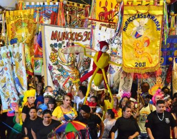 Muriçocas do Miramar, em João Pessoa  — Foto: Kleide Teixeira/Secom-JP