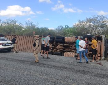 Carreta com cerca de 80 bois tomba no Sertão da Paraíba — Foto: Divulgação/Polícia Militar