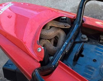 Foto tirada de baixo do banco da moto.