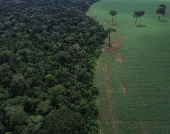 Brasnorte (MT), 09/04/2025 – Vista aérea do encontro da Floresta Amazônica com lavouras de milho e soja, na margem da Terra Indígena Erikpatsa, onde vive o Povo Rikbaktsa. Foto: Fernando Frazão/Agência Brasil